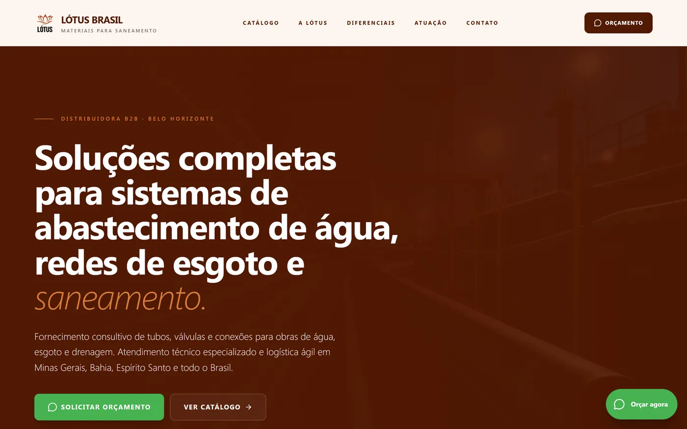 A página inicial do site da Lótus Brasil